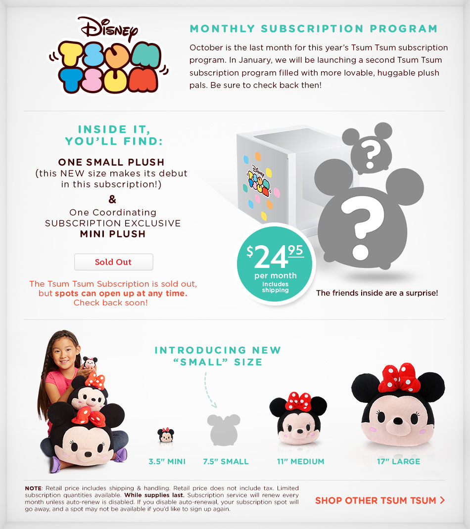 end-of-the-year-tsum-tsum-subscription-box